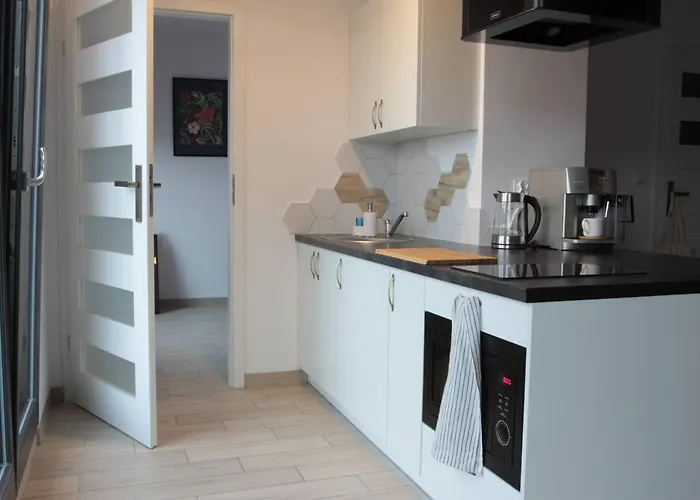 Apartament White Frog *